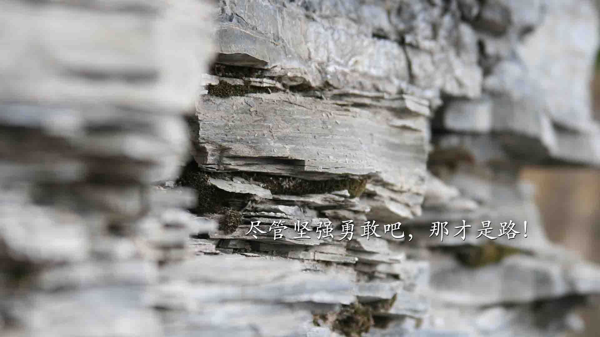 赛季亮点预测：关键比赛和大热点，新赛季胜率排行