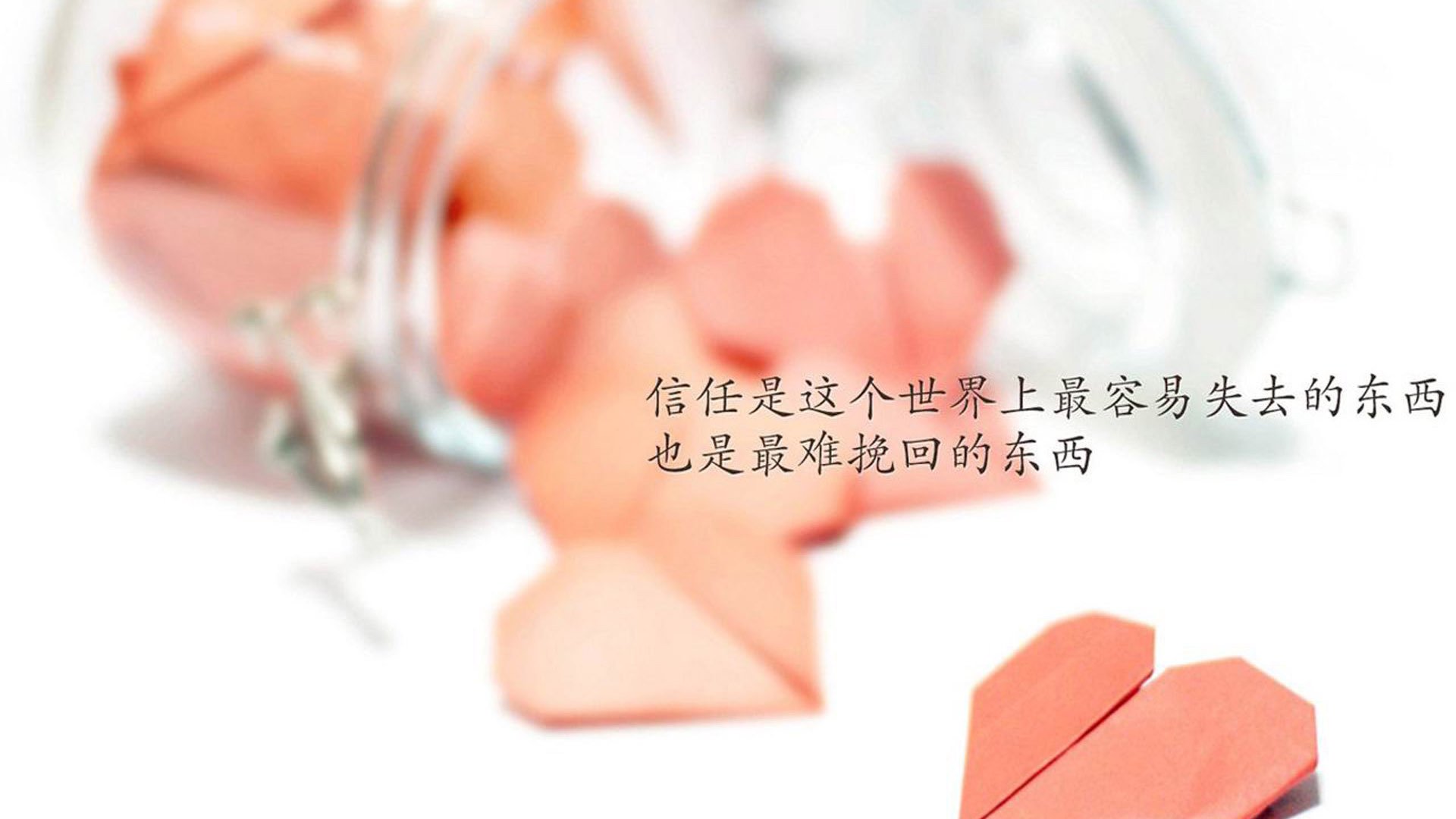 青少年自行车赛，童年运动新风尚，青少年自行车赛报名