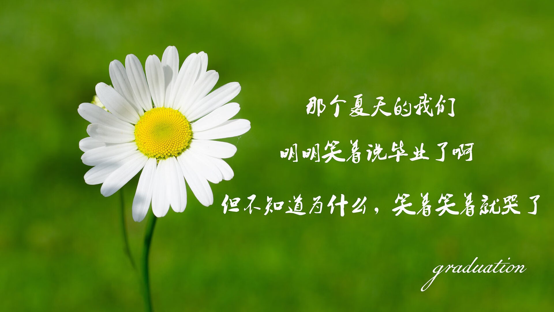 九游登录入口-青少年篮球运动员心理调适专项培训正式启动，篮球心里训练的重要性