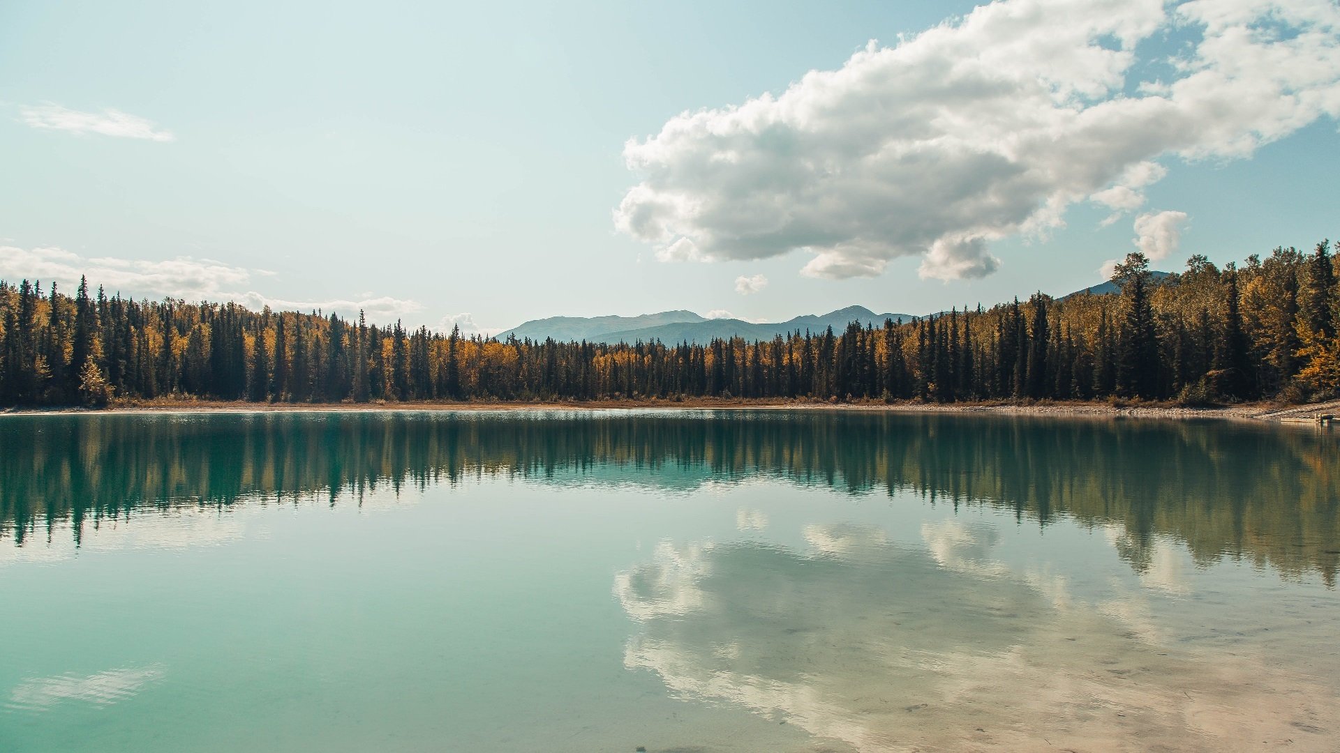 陈佳动作完成度接近满分，动作完成分最高分为