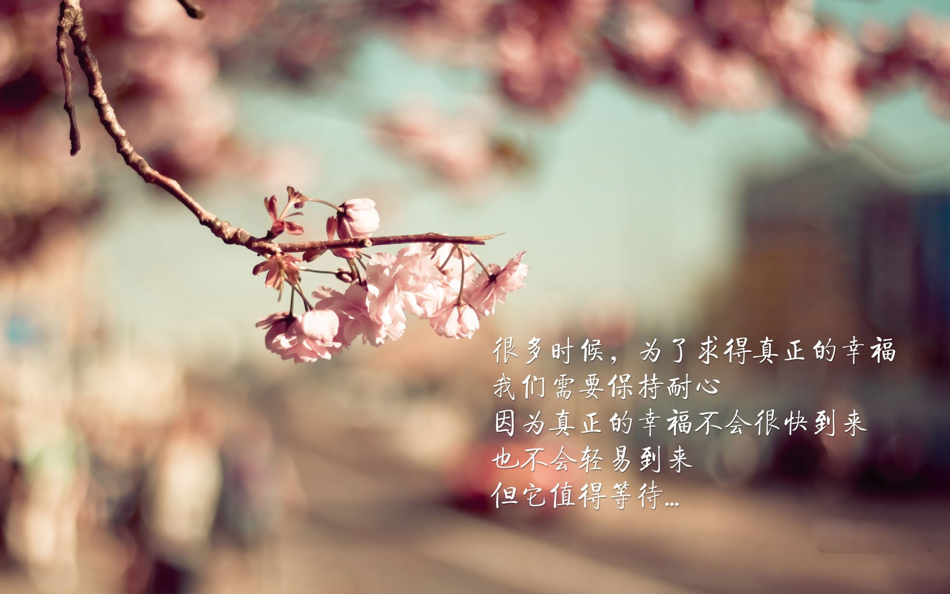 九游app官网下载-青训营设置专项体能强化课程提升身体素质，青训训练