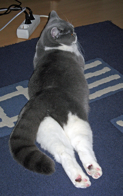 麦克沃伊：我的爆发力来自训练细节，麦克沃尔