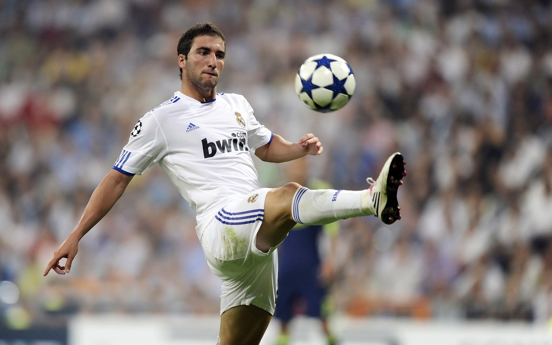 九游乐鱼电竞-增强青训项目“引进来”和“走出去”，推动行业国际化