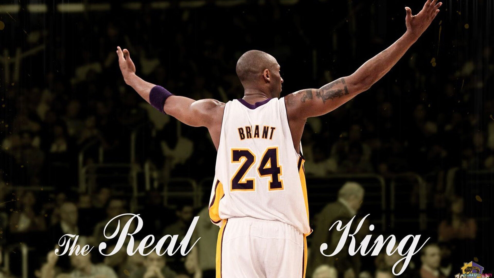 球迷留言：催促、鼓励、支持，情感无限，催促用语